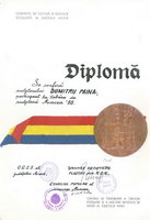 sculpturi
